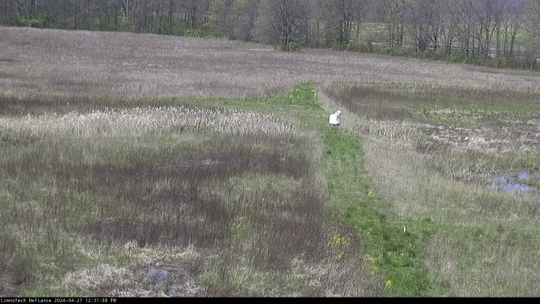 Cell 1 to 2_24-04-27_12-31-09-32