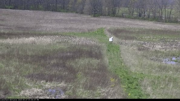 Cell 1 to 2_24-04-27_13-04-38-32