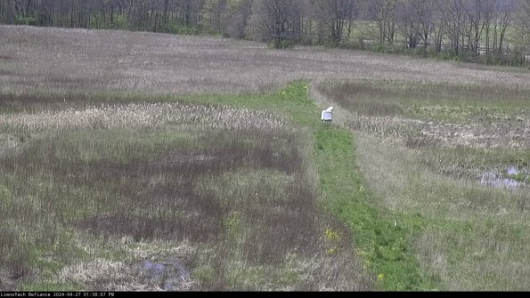 Cell 1 to 2_24-04-27_13-38-08-34