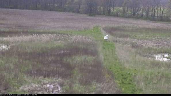 Cell 1 to 2_24-04-27_14-11-38-33