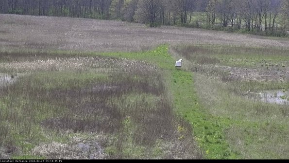 Cell 1 to 2_24-04-27_15-18-36-34