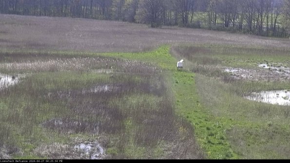 Cell 1 to 2_24-04-27_16-25-35-31