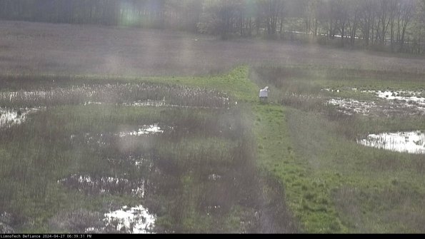 Cell 1 to 2_24-04-27_18-39-32-35