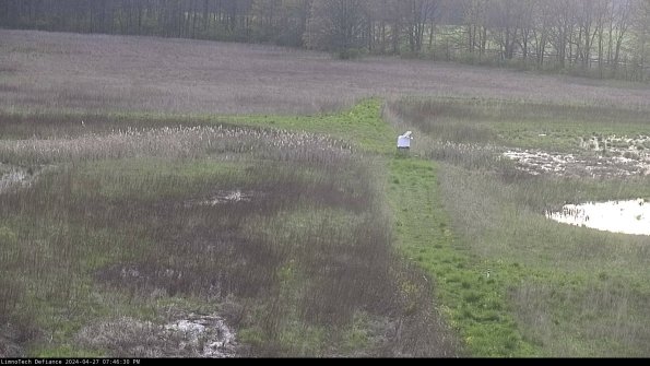 Cell 1 to 2_24-04-27_19-46-31-32