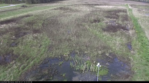 Cell 1_24-04-27_10-16-55-34