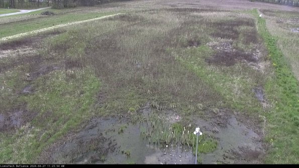 Cell 1_24-04-27_11-23-55-34