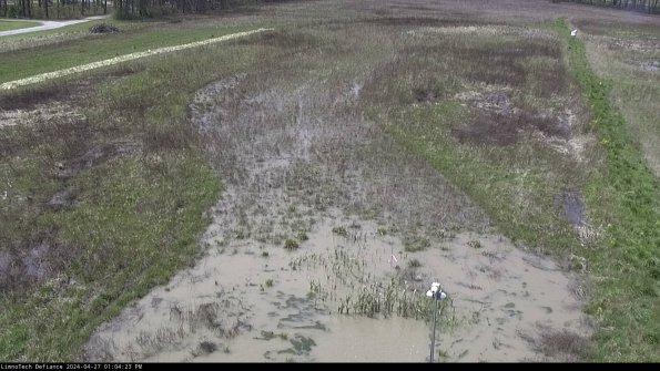 Cell 1_24-04-27_13-04-24-31