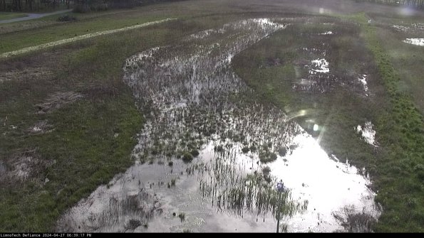 Cell 1_24-04-27_18-39-18-34