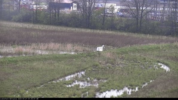 Cell 2 to 3_24-04-27_07-30-08-35