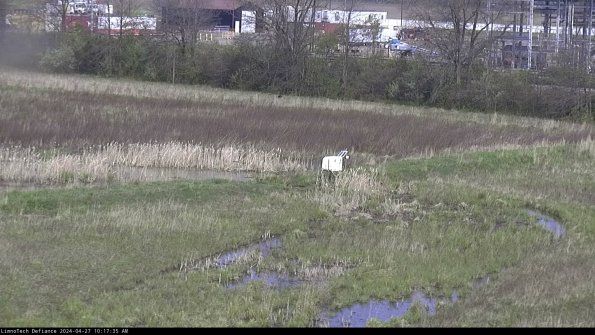 Cell 2 to 3_24-04-27_10-17-35-44