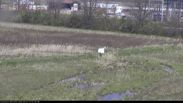 Cell 2 to 3_24-04-27_10-51-05-36