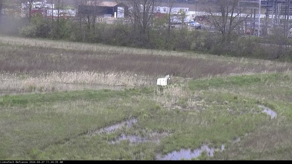 Cell 2 to 3_24-04-27_11-24-35-48