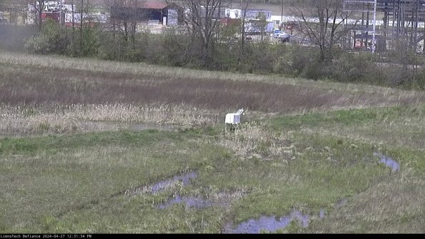 Cell 2 to 3_24-04-27_12-31-35-38