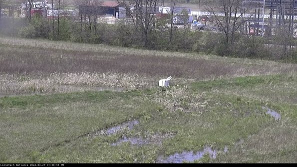 Cell 2 to 3_24-04-27_13-38-34-40