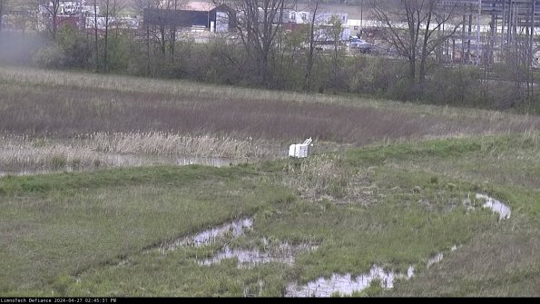 Cell 2 to 3_24-04-27_14-45-32-44