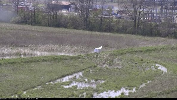 Cell 2 to 3_24-04-27_16-26-01-47