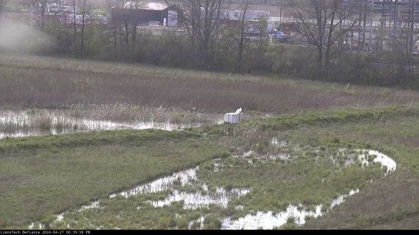 Cell 2 to 3_24-04-27_18-39-58-48