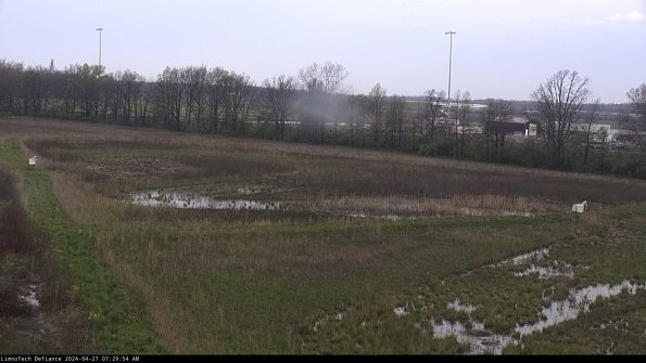 Cell 2_24-04-27_07-29-55-34