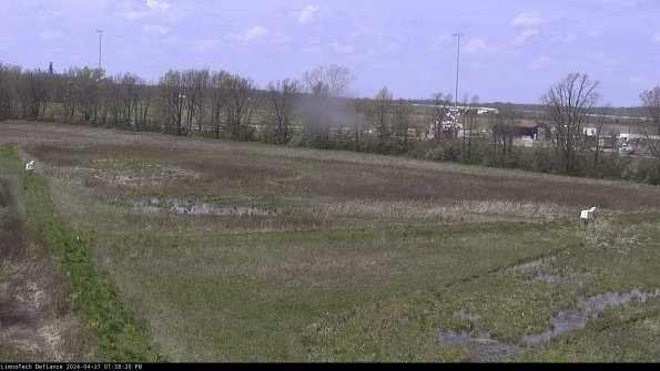 Cell 2_24-04-27_13-38-21-35