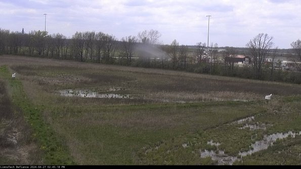 Cell 2_24-04-27_14-45-19-33