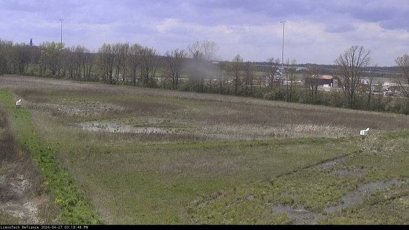 Cell 2_24-04-27_15-18-49-38