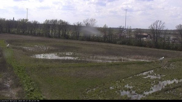 Cell 2_24-04-27_16-25-48-36