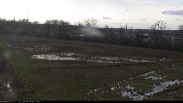 Cell 2_24-04-27_18-39-45-36