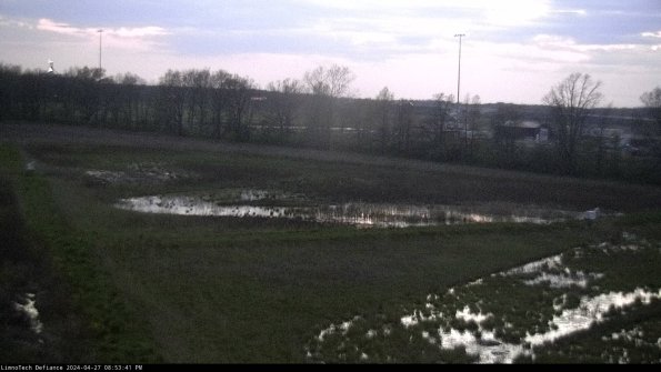 Cell 2_24-04-27_20-53-42-35