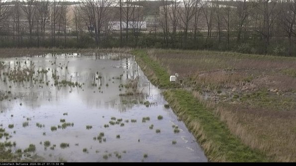 Cell 3 to 4_24-04-27_19-13-57-33