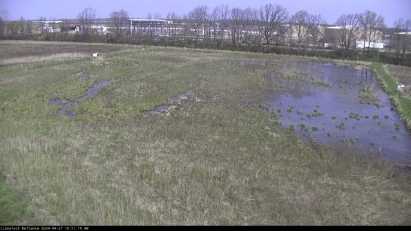 Cell 3_24-04-27_10-51-20-31