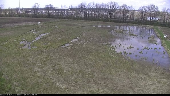 Cell 3_24-04-27_14-12-18-57