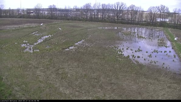 Cell 3_24-04-27_14-45-47-33