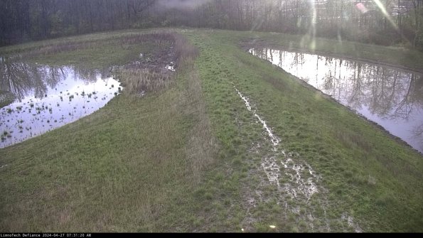 Cell 4 to Basin_24-04-27_07-31-21-32