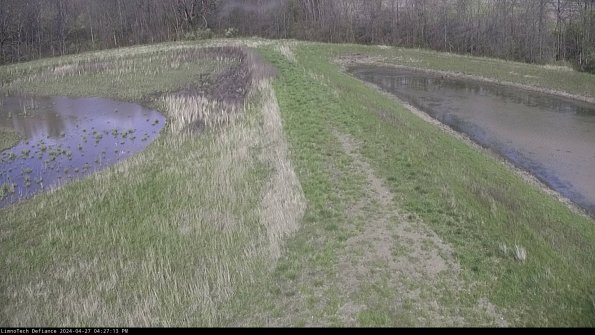 Cell 4 to Basin_24-04-27_16-27-14-31