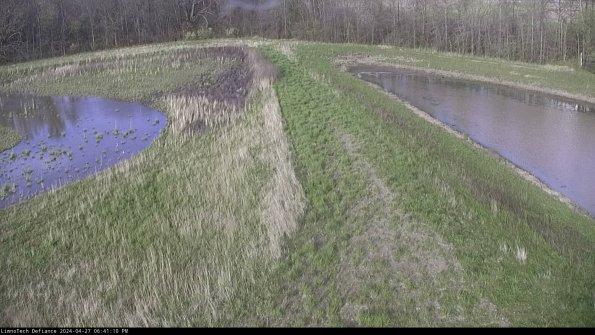 Cell 4 to Basin_24-04-27_18-41-11-35