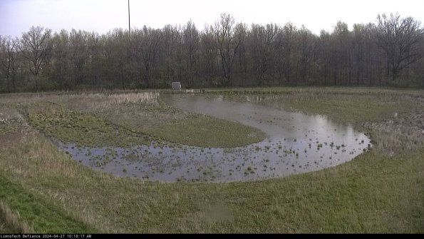 Cell 4_24-04-27_10-18-18-32