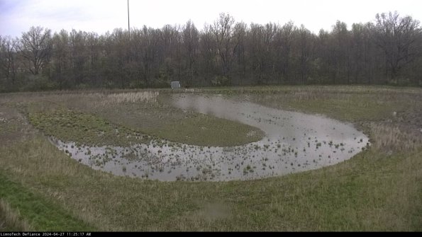 Cell 4_24-04-27_11-25-18-33