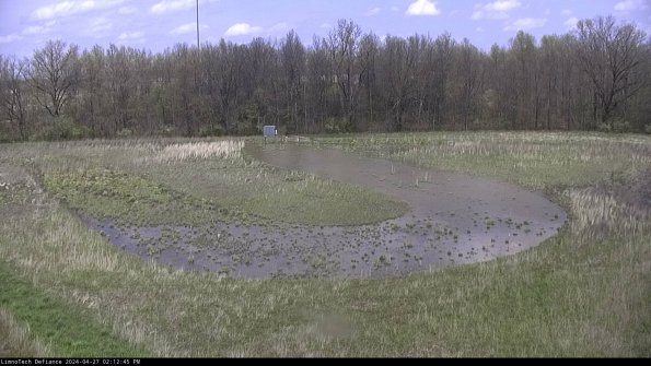 Cell 4_24-04-27_14-12-46-33