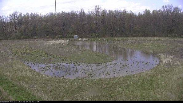 Cell 4_24-04-27_14-46-15-32