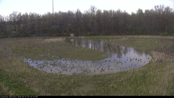 Cell 4_24-04-27_19-14-11-31