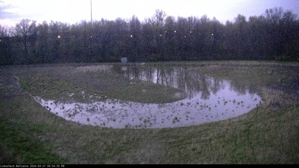 Cell 4_24-04-27_20-54-37-34