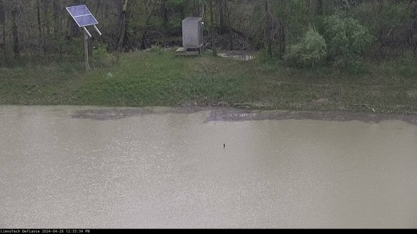 Basin Inflow_24-04-28_12-33-35-34