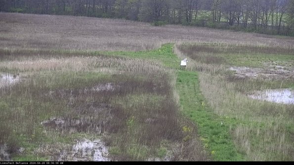 Cell 1 to 2_24-04-28_08-36-59-38