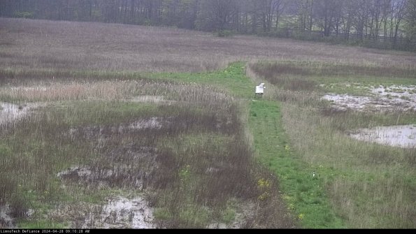 Cell 1 to 2_24-04-28_09-10-29-36