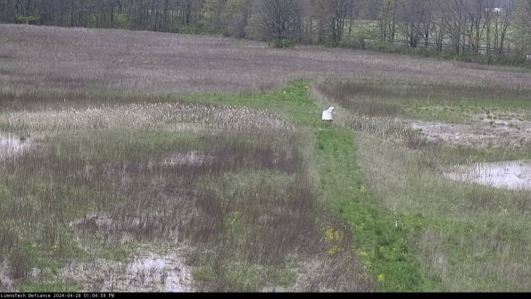 Cell 1 to 2_24-04-28_13-05-00-34