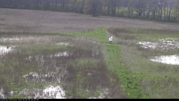 Cell 1 to 2_24-04-28_16-59-29-35