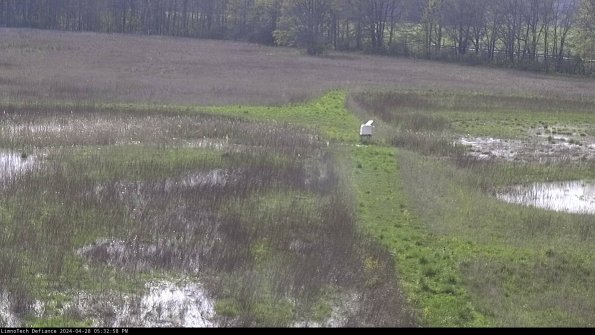 Cell 1 to 2_24-04-28_17-32-59-37