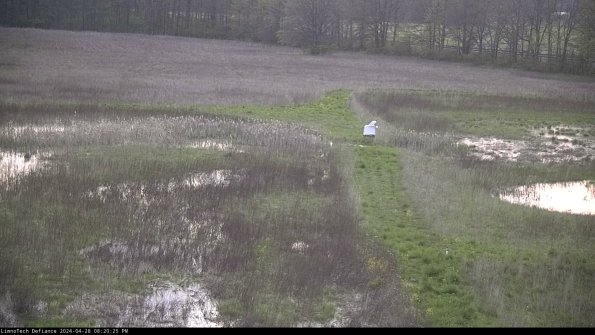 Cell 1 to 2_24-04-28_20-20-26-34