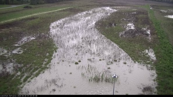 Cell 1_24-04-28_07-29-45-35