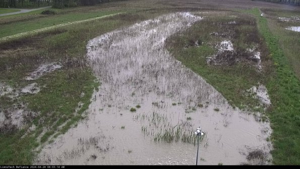 Cell 1_24-04-28_08-03-15-38